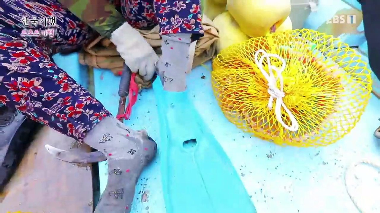 한국기행 - Korea travel_트로트 기행 4부- 흑산도 아가씨_#001