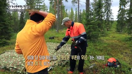 세계테마기행 - 숨겨진 세계 라플란드- 요정들이 사는 숲_#001