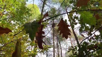 8 Mind Blowing Machines You Should See