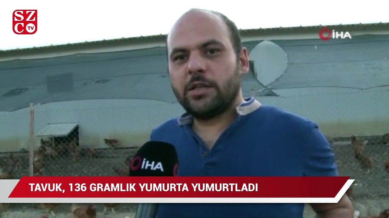 Tavuk, 136 gramlık yumurta yumurtladı