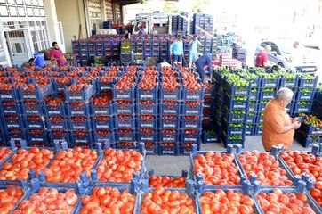 Tonlarca domates kabzımalların elinde kaldı