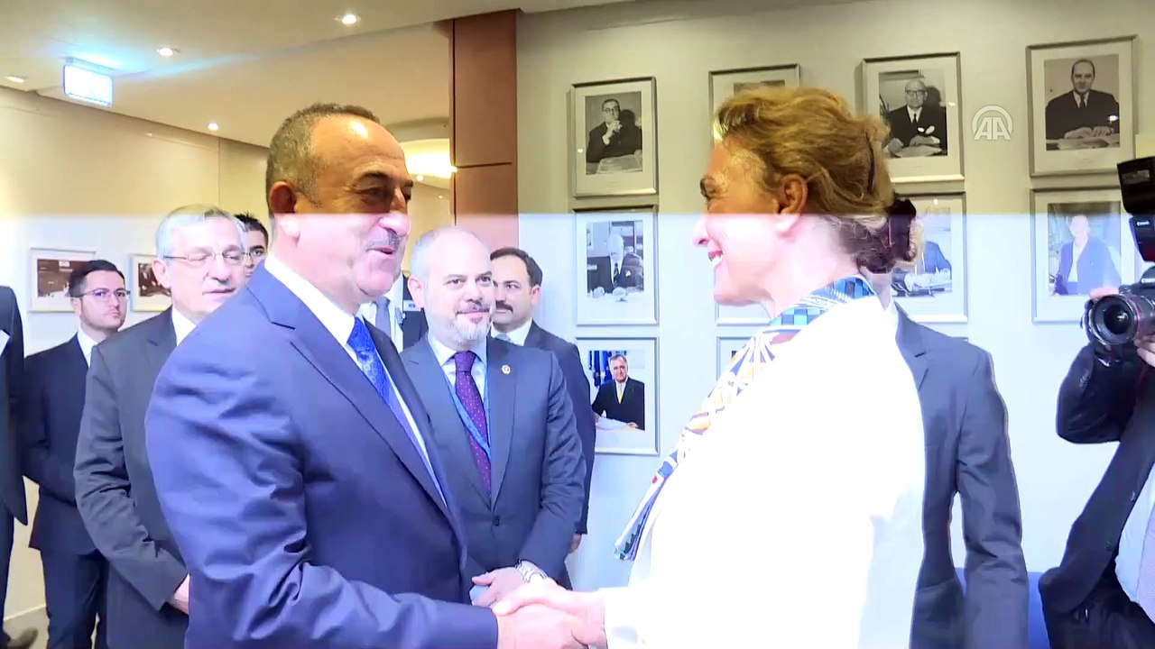 Dışişleri Bakanı Çavuşoğlu, Avrupa Konseyi Gene...