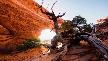 Skye Mountain Co: Utah Hats