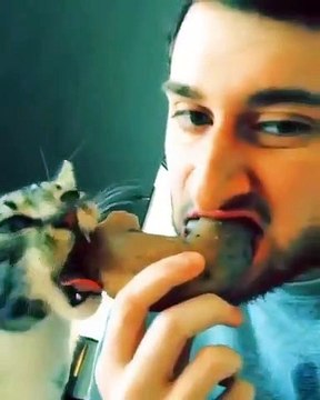 Miam Miam ! Un repas pour deux, il partage son repas avec son adorable matou... Un instant magique