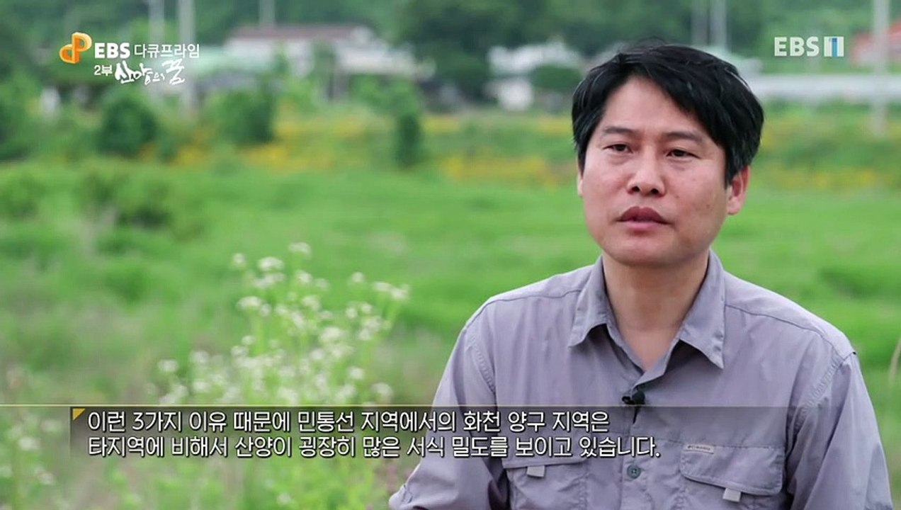 EBS 다큐프라임 - Docuprime_야생리포트 DMZ 2부- 산양의 꿈_#001