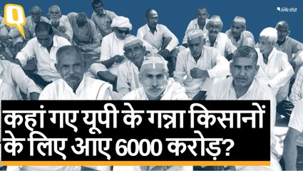 UP: आपकी प्याली में मिठास घोलने वाले Sugarcane Farmers की जिंदगी कड़वी | Quint Hindi