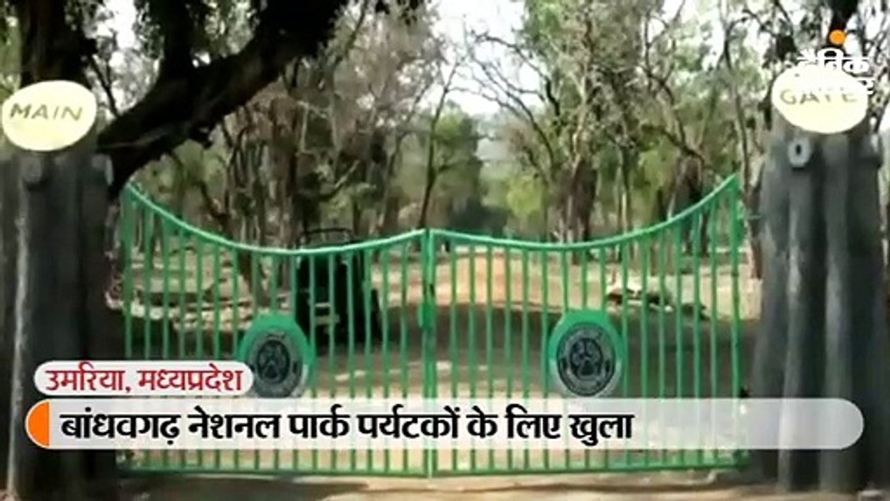 पर्यटकों के लिए खुला बांधवगढ़ नेशनल पार्क