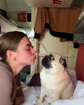 La dame s’apprête à faire un bisou à son toutou, mais regardez sa réaction