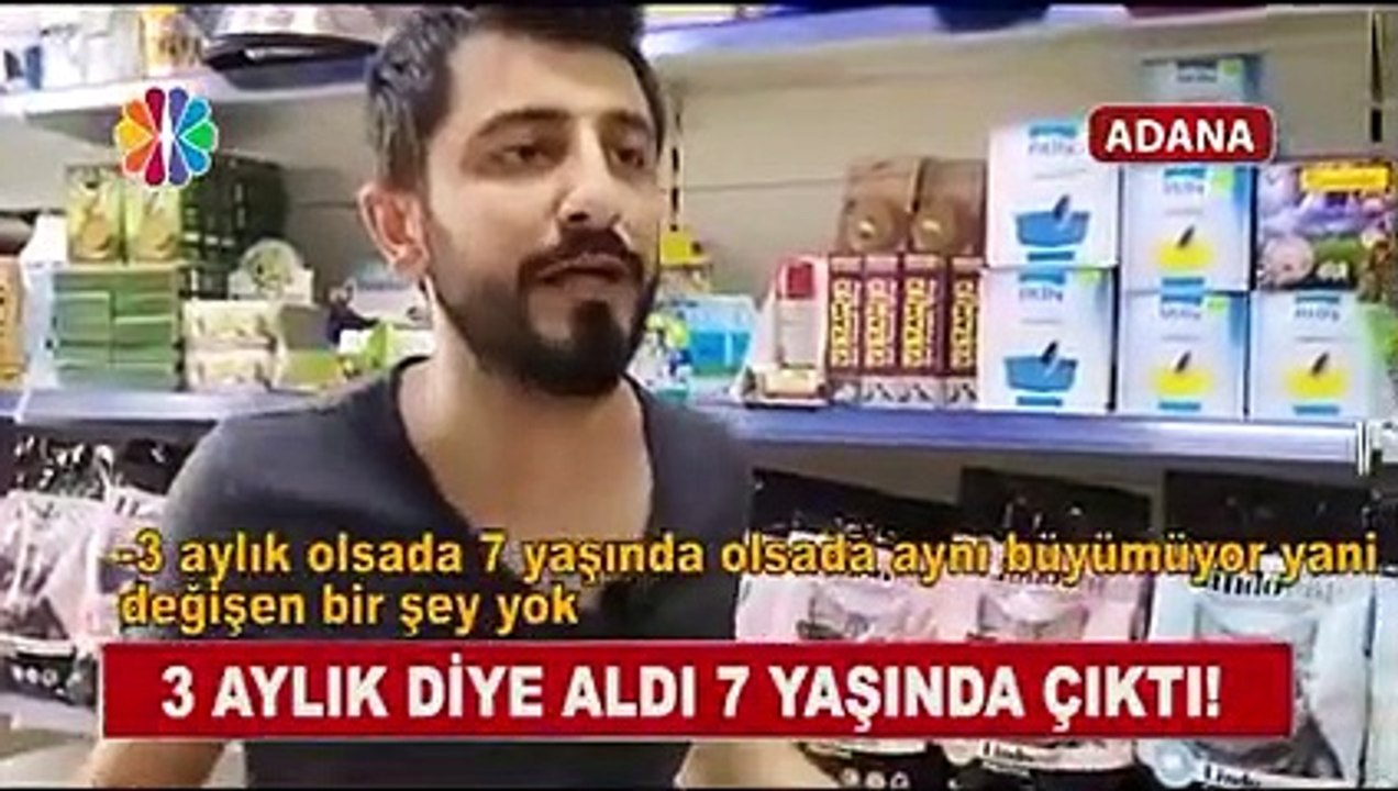 7 Yaşında Köpeği 3 Aylık Diye Satan Petshop