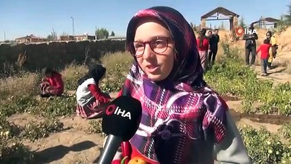 Öğrenciler Yetiştirdikleri Sebzeleri İhtiyaç Sahipleriyle Paylaşıyor