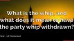 UK Politics What is 'the whip' and what does it mean to have the party whip withdrawn?