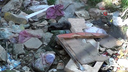 Zergan Deresine Atılan Çöpler, Hayvanların Hayatını Tehlikeye Atıyor