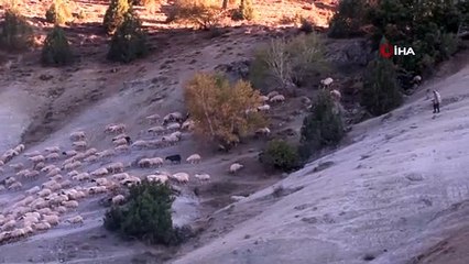 Ömürleri Sürülerin Peşinde Geçen Göçerlerin Zorlu Yaşam Mücadelesi