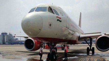 വിമാനത്തെ ആക്രമിച്ച് തേനീച്ചക്കൂട്ടം | Honeybee attacked air india's flight | Oneindia Malayalam
