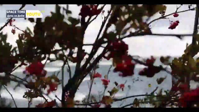 Бушующий в Эстонии шторм оставил без электричества более 2000 домохозяйств