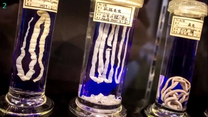 5 Museum Paling Menyeramkan Di Dunia