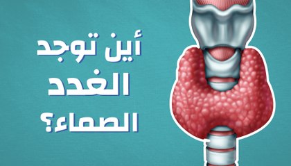 أين توجد الغدد الصماء