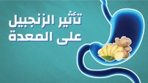 تأثير الزنجبيل على المعدة