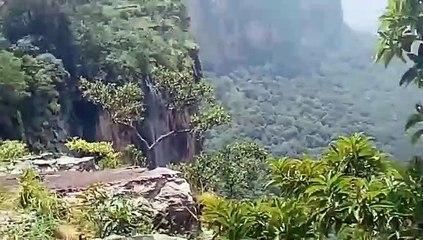 DjinkaLélouma : A la découverte des échelles de lianes