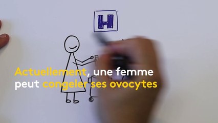 Loi bioéthique : L'autoconservation des ovocytes sans raisons médicales