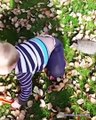 Top Funny Babies Outdoor Moments - Baby Outdoor Fails Video