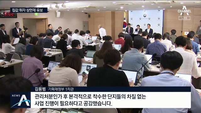 강남 집값에 손든 분양가 상한제…6개월 유예 결정
