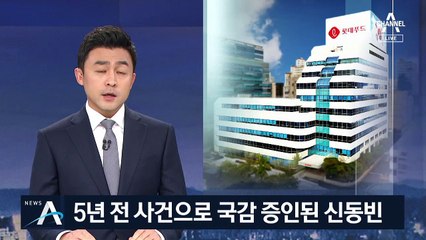 5년 전 사건에 국감 증인된 신동빈…지역구 민원 해결용?
