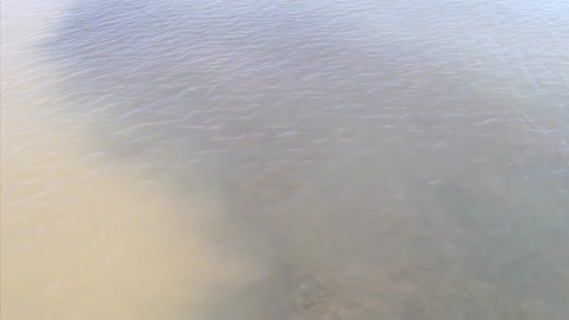 Tres semanas después de la gota fría, varias playas del Mar Menor siguen cerradas al baño