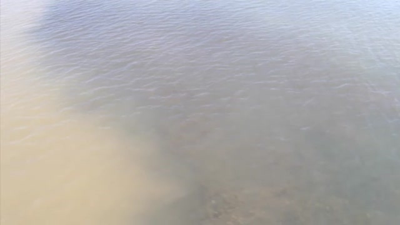 Tres semanas después de la gota fría, varias playas del Mar Menor siguen cerradas al baño