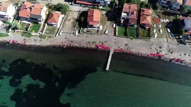 Deniz kirliliğine sebep olan firmaya 144 bin liralık ceza