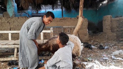 المطعنى ركبه الفقر من قلة الاستغفار وذكر الله