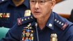 Albayalde intervened in dismissal of Pampanga 'ninja cops' – PDEA chief