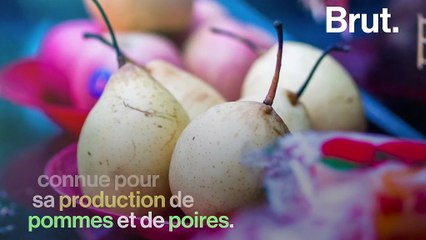 Quelle est la situation des abeilles à travers le monde ?