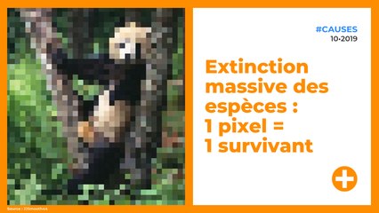 Extinction massive des espèces : 1 pixel = 1 survivant