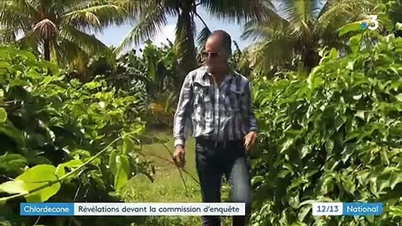 Chlordécone : révélations sur la possible contamination de l'eau du robinet