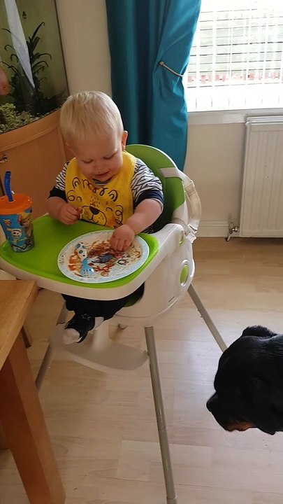 Boy Shares Dinner with Friendly Rottweiler