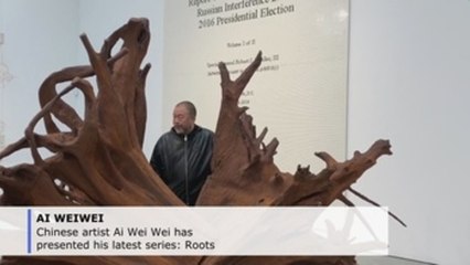 Ai Weiwei reflects on political landscape in new work Roots