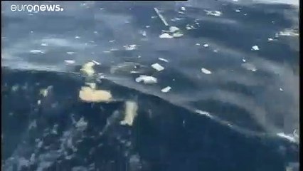 Crash de Charm el-Cheikh : les investigations doivent reprendre