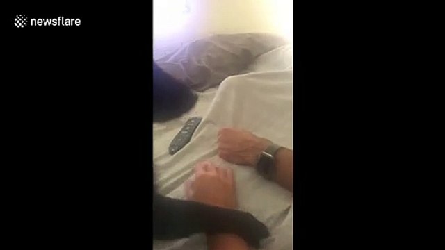 Paws the PDA guys! Jealous dog will not let owners hold hands