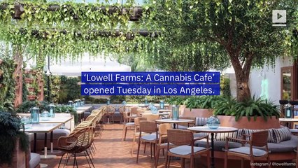 First Cannabis Cafe Opens in the United States