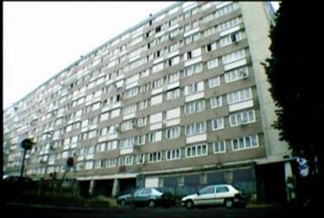 Le Chat De La Grand Mère D'Abdel Krim