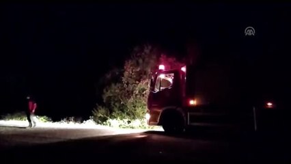 Otomobil şarampole devrildi: 3 yaralı