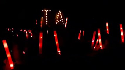 Marxa de Torxes als Lledoners (1-10-19)