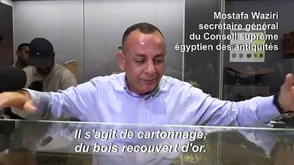 Le sarcophage volé de Nedjemankh de retour en Egypte