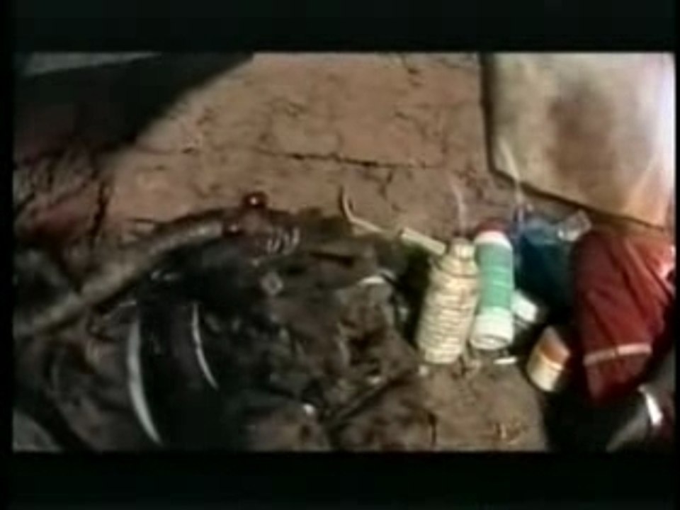 Court Métrage - Sacrifice De Poulet Kourtrajme