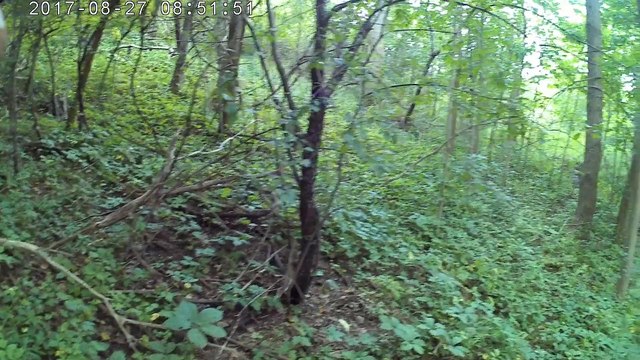 16 Fatima Pilgrimage walk across USA #65 Rainy days in Tent