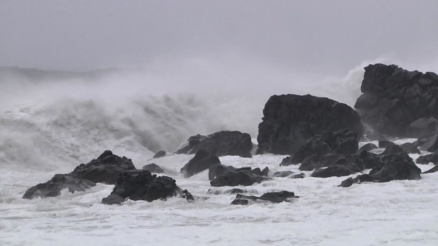 [날씨] 전국 비바람...태풍 자정에 전남 해안 상륙 / YTN