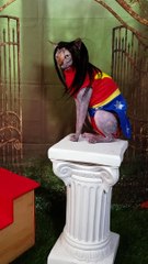 Super Hero Kitty Cat