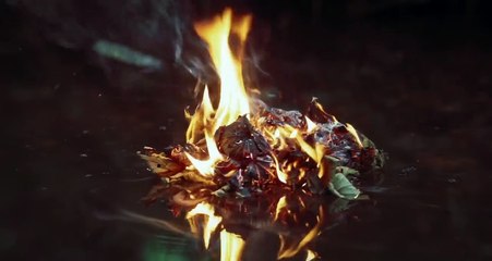 La Balade d’Ivan Bande-annonce VF (2019) Aram Arakelyan, Benjamin Baclet