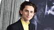 'The King' Star Timothée Chalamet on Cutting His Hair to Play King Henry V